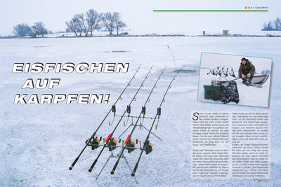 Carp from the ice hole - doesn't work? Then read on ...