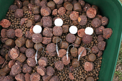 Fish flour boilies in spring?