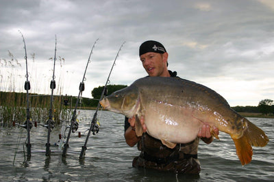 The work of a boilies using the example of Monster-Liver & Monster Liver Activ
