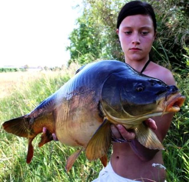 IB Carptrack Big Fish Boilie - for big carp. They all catch the