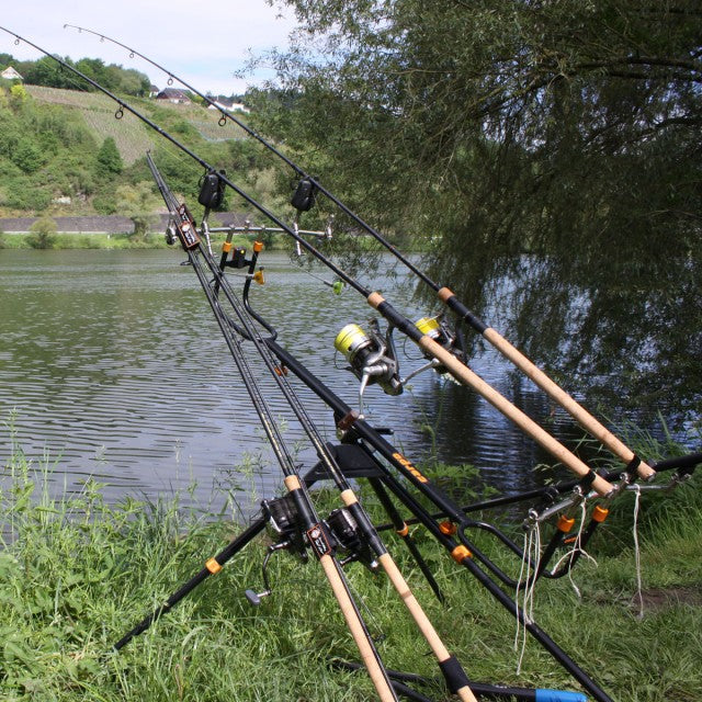 Carp rod 